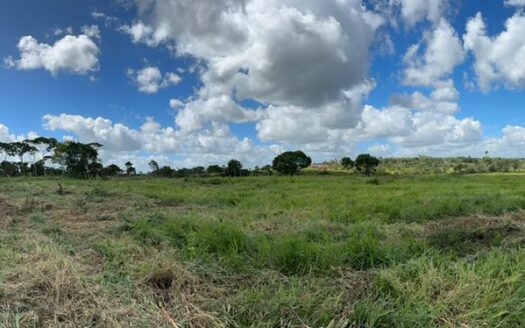 Oportunidade para indústria