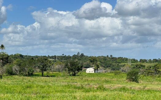 Oportunidade para indústria