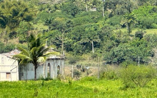 Oportunidade para indústria