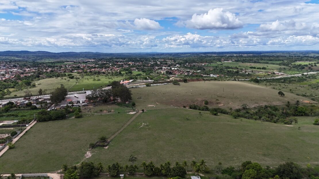 FAZENDA EUCALIPTO