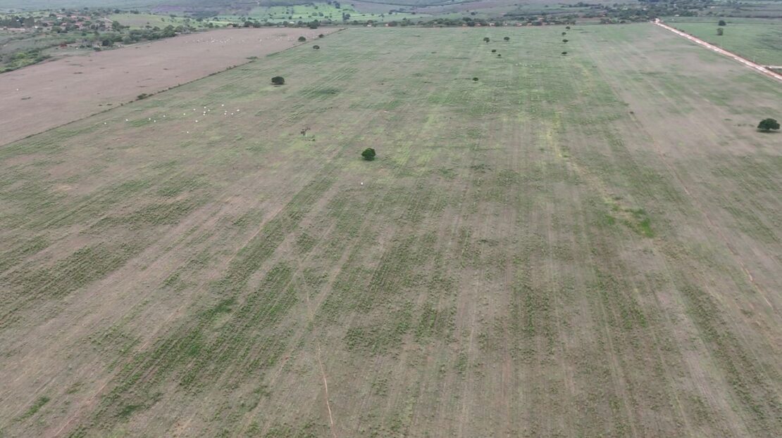 Fazenda alto do Inhambupe